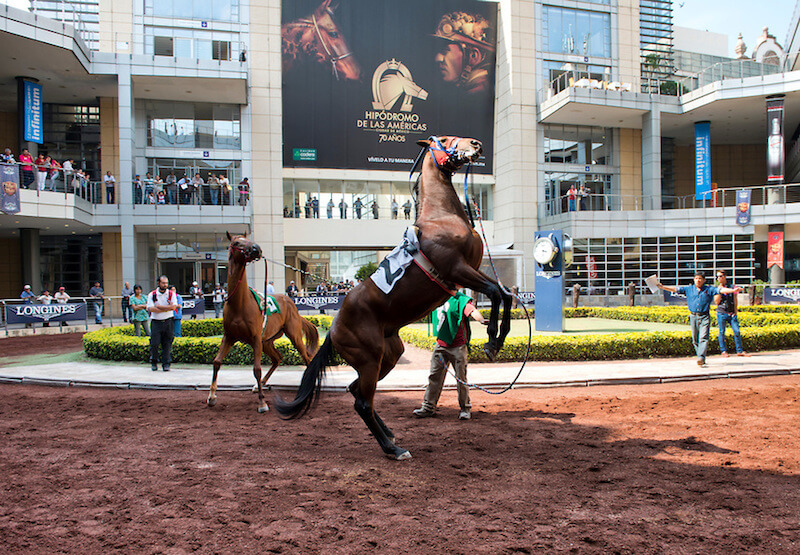 Hipódromo de las Américas